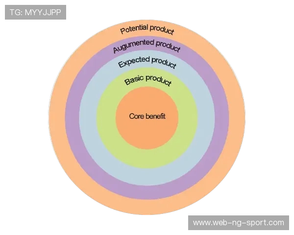 杭州排球队的反击革新之路探秘与未来展望